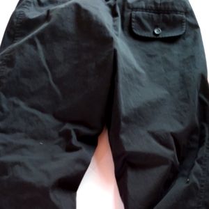 Bcbg max azaria cropped chinos